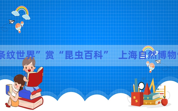 看“条纹世界”赏“昆虫百科”  上海自然博物馆之夜亮相
