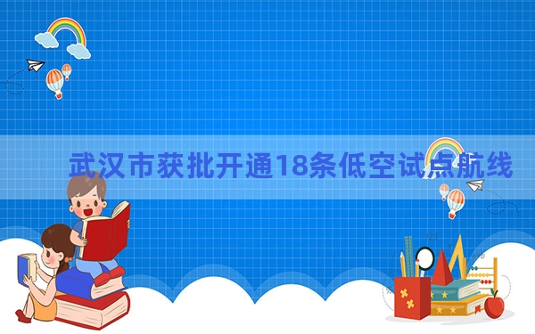 武汉市获批开通18条低空试点航线