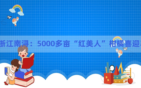浙江南浔：5000多亩“红美人”柑橘喜迎丰收